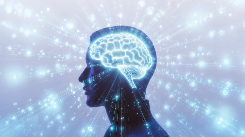 Visualisation d'intelligence artificielle pour une agence automatisation France